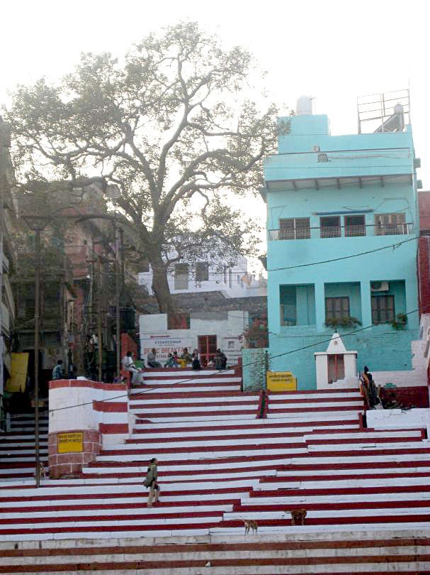 Kedareswar Bed & Breakfast Exterior View